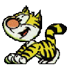 cat happy